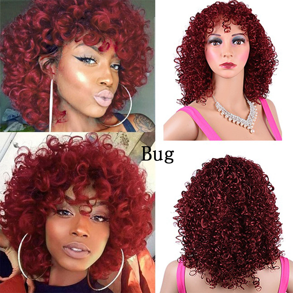 Afro Curly Wig