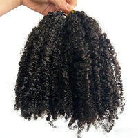 240g Afro Kinky Burmese Curly Crochet Human Hair Knotless Pre-Separated Crochet Feather Hair Extensions Curly Human Hair